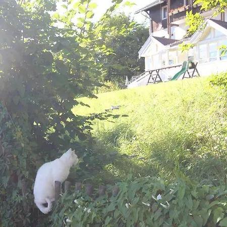 Fiala-koefer דירה