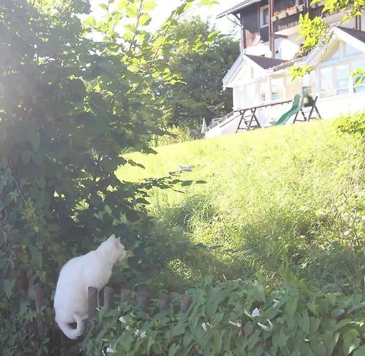 Fiala-koefer Apartament