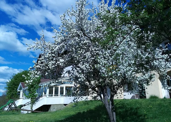 Fiala-koefer Pörtschach am Wörthersee